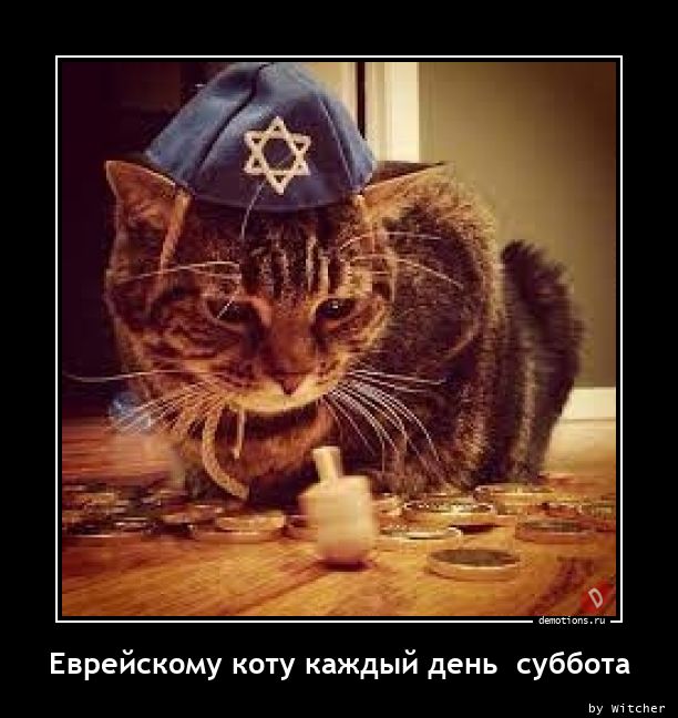 Еврейскому коту каждый день  суббота