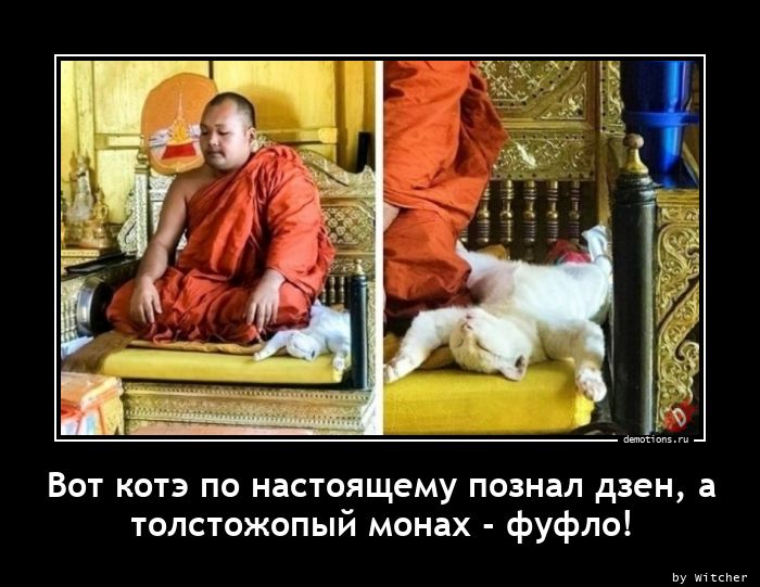 Вот котэ по настоящему познал дзен, а
толстожопый монах - фуфло!