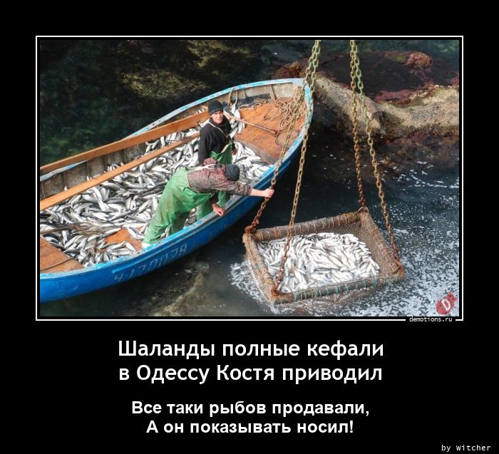 Рыбов продаете красивые. Рыб продаете красивое. Демотиваторы про Рыбов. Вы рыбу продаете. Шутка про Рыбов.