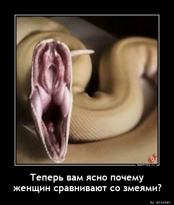 Теперь вам ясно почемуnженщин сравнивают со змеями?