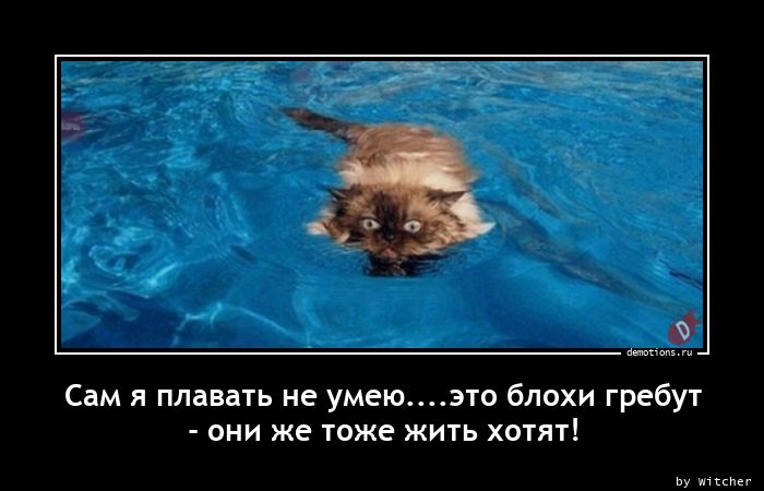 Сам я плавать не умею....это блохи гребут
- они же тоже жить хотят!