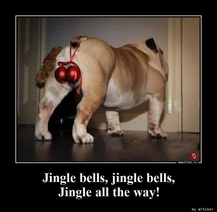 Jingle bells, jingle bells,
Jingle all the way!