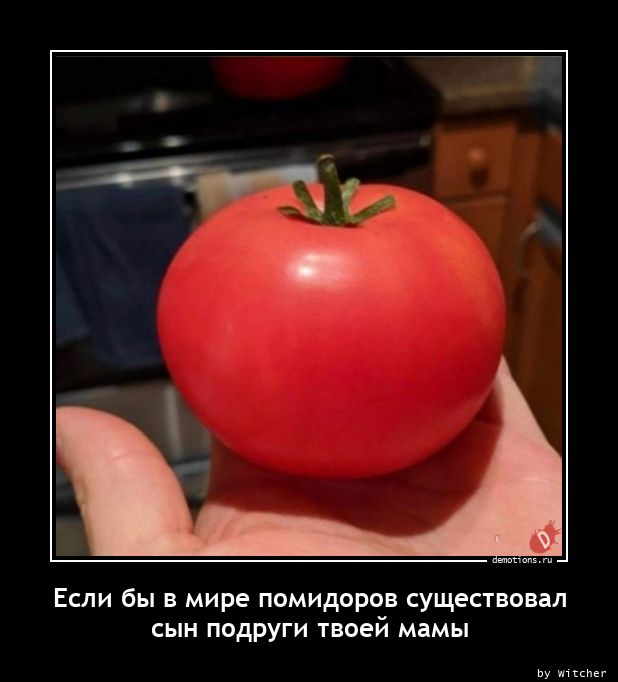 Если бы в мире помидоров существовал
сын подруги твоей мамы