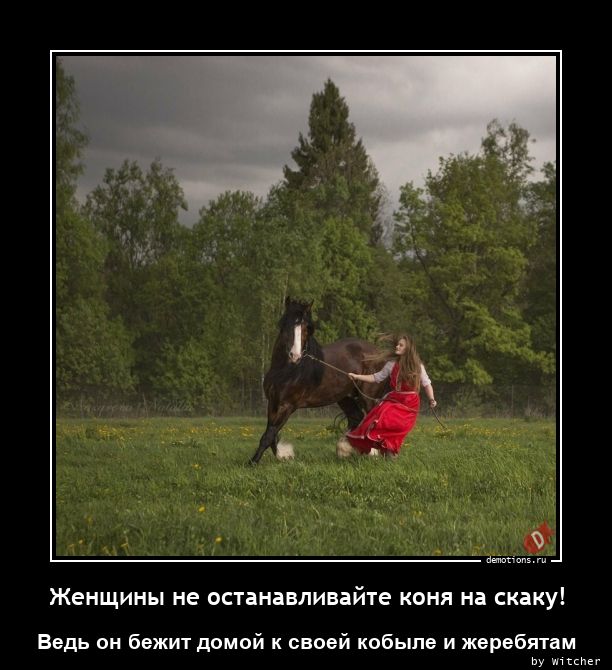 Женщины не останавливайте коня на скаку!