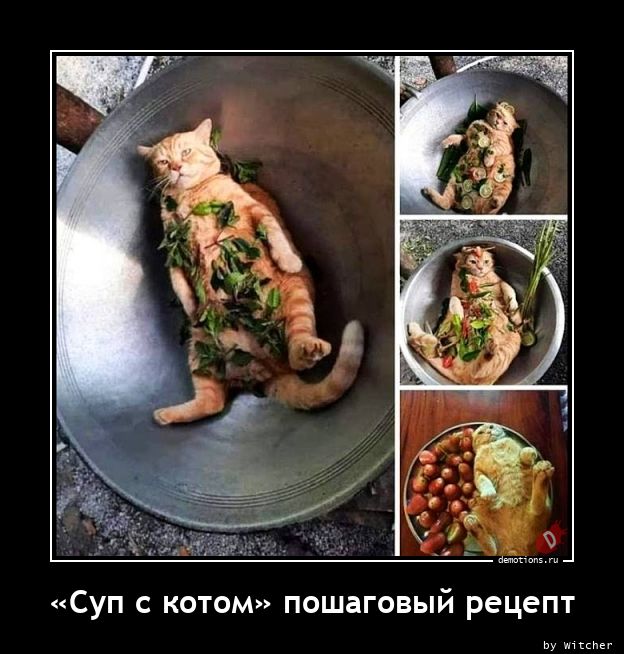 «Суп с котом» пошаговый рецепт