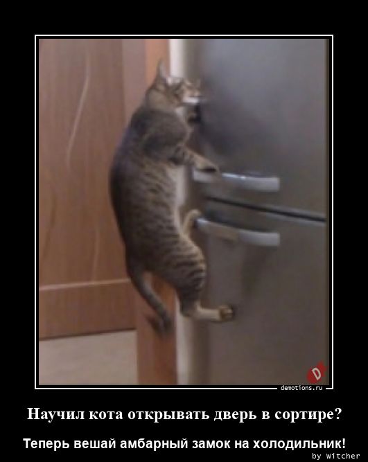 Научил кота открывать дверь в сортире?