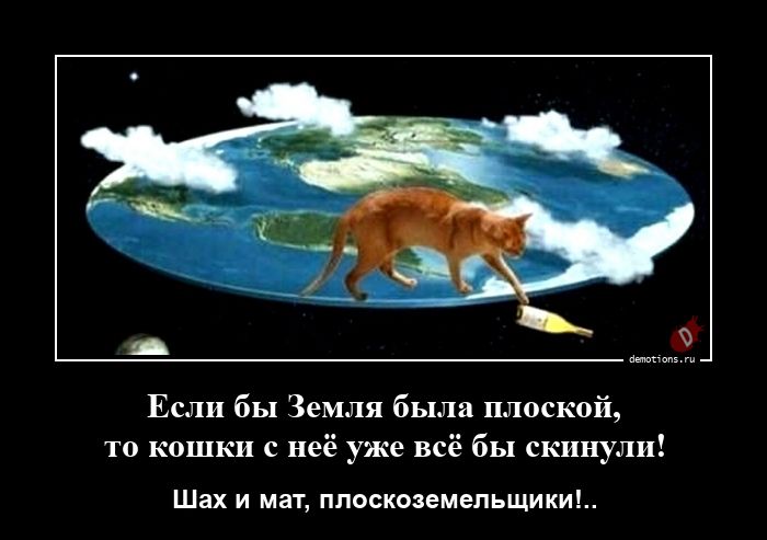 Если бы Земля была плоской, то кошки с неё уже всё бы скинули!