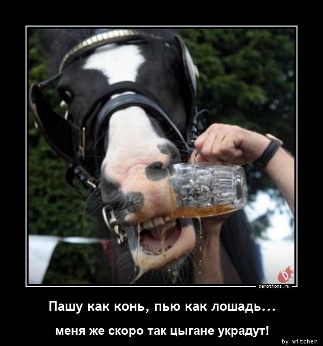 Пашу как конь, пью как лошадь...