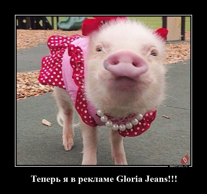 Теперь я в рекламе Gloria Jeans!!!