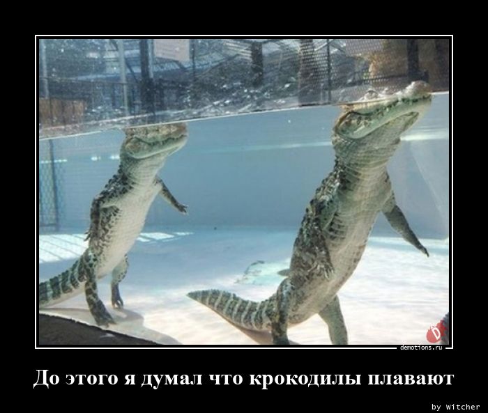 До этого я думал что крокодилы плавают
