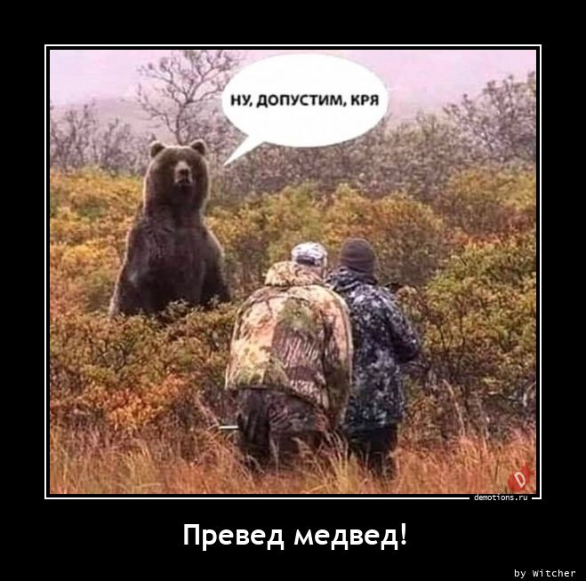 Превед медвед!