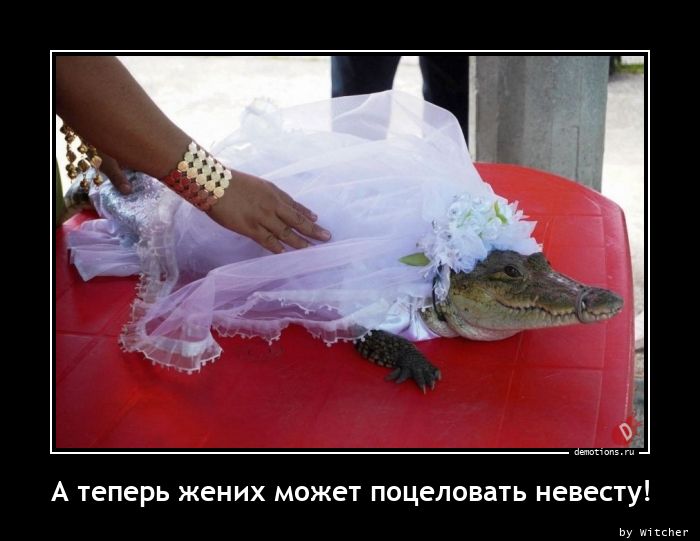 А теперь жених может поцеловать невесту!