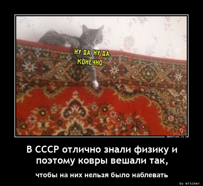 В СССР отлично знали физику и
поэтому ковры вешали так,