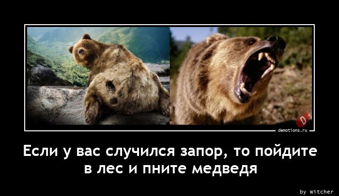 Если у вас случился запор, то пойдите
в лес и пните медведя