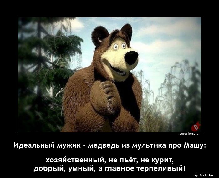Идеальный мужик - медведь из мультика про Машу: