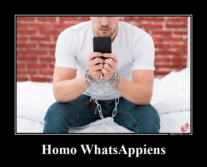 Homo WhatsAppiens